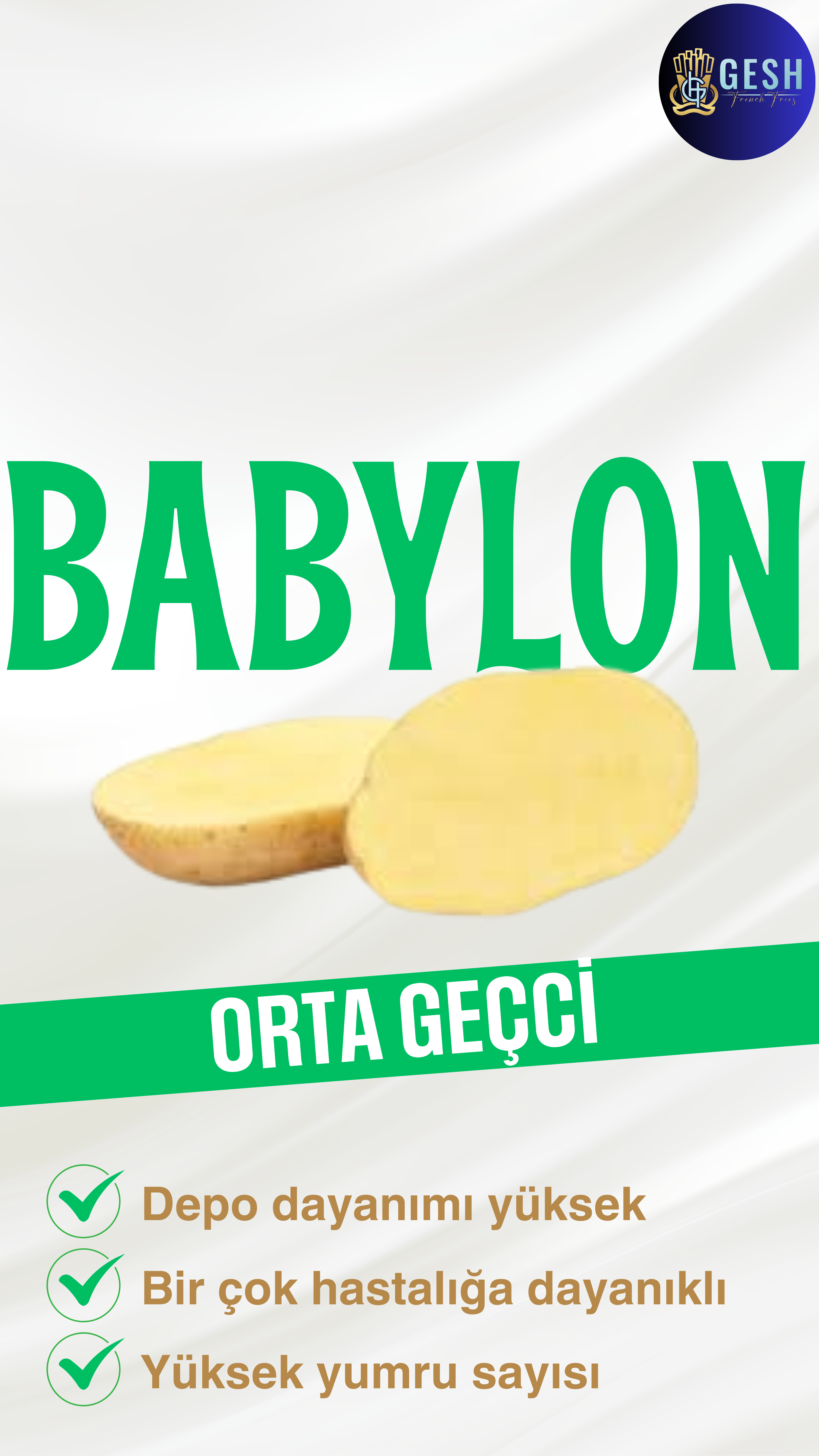 babylon